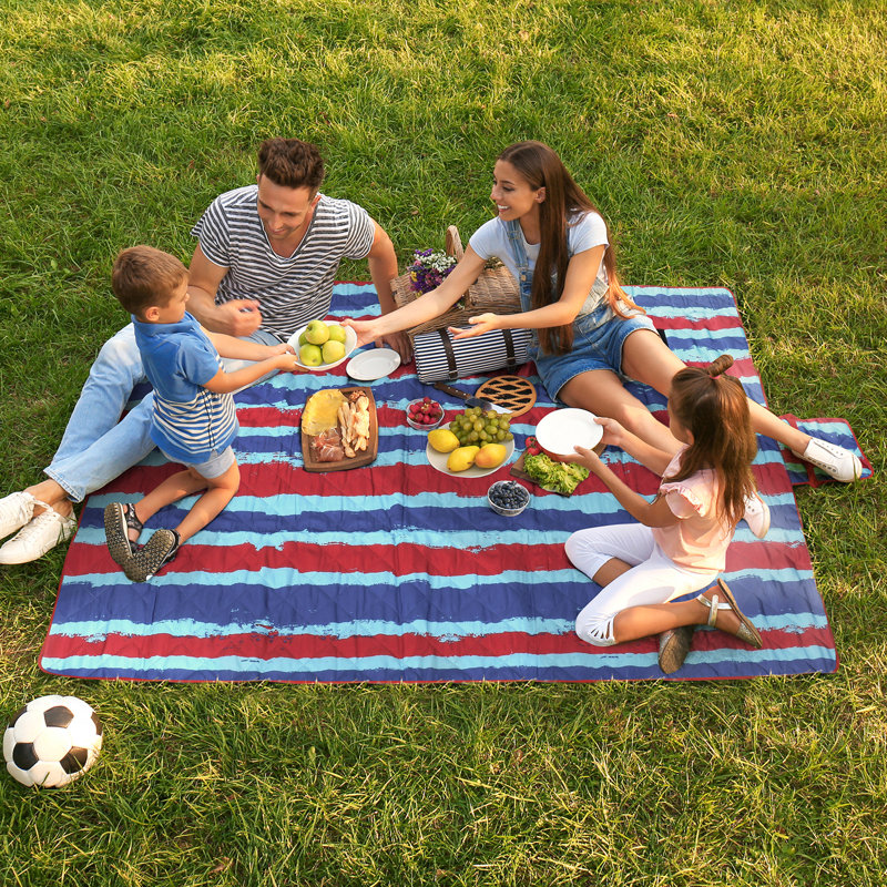 Tirrinia Picnic Blanket Extra Large Waterproof Lightweight Portable Outdoor Mat for Family Camping Travel Park Beach Hiking Stadium Concerts Striped Print 70 X80 Machine Washable Reviews Wayfair